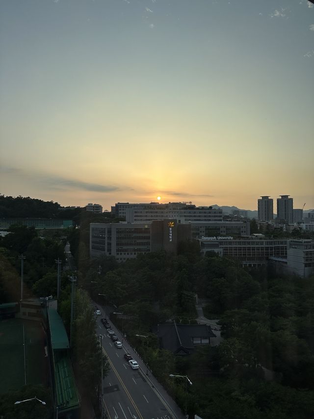 서울 신라호텔 솔직후기🗝️🚪
