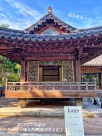 【韓国旅行】優雅✨思いっきり韓国らしさを感じる✨韓屋カフェ