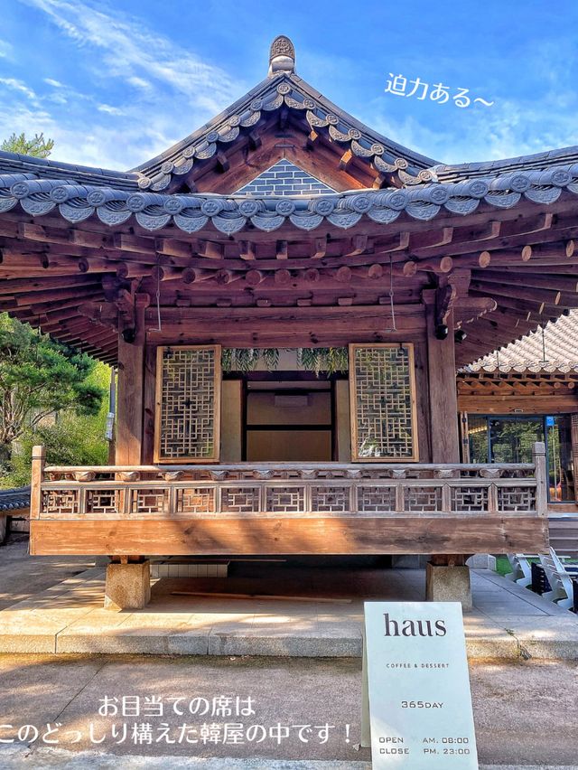 【韓国旅行】優雅✨思いっきり韓国らしさを感じる✨韓屋カフェ