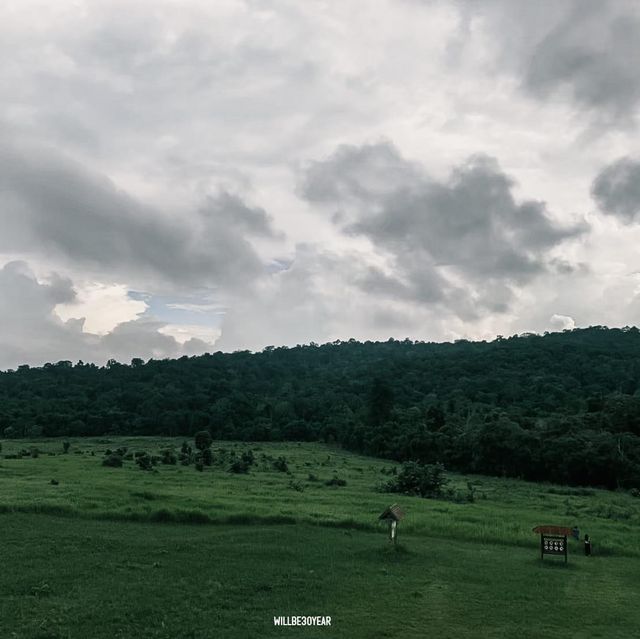 ขับรถรับลมเย็นในฤดูฝนที่ อุทยานแห่งชาติเขาใหญ่ 