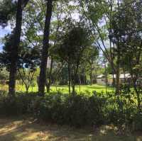 大㓓森林公園