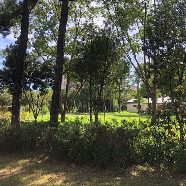 大㓓森林公園