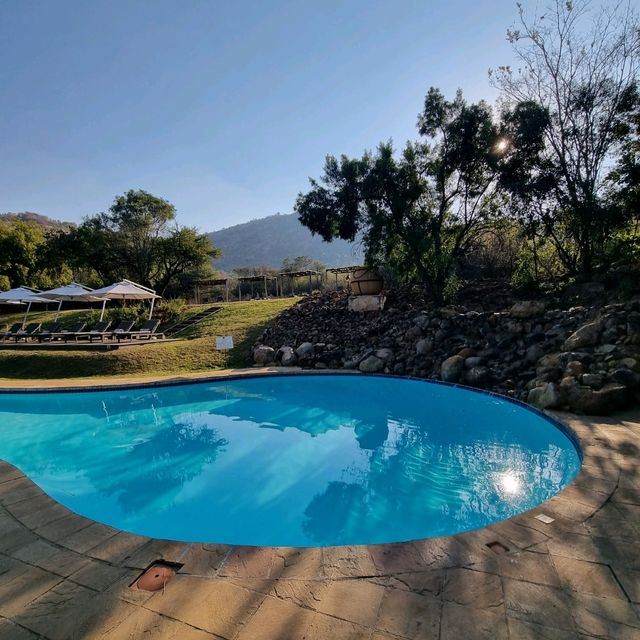 A Safari Staycation At Pilanesburg Safari