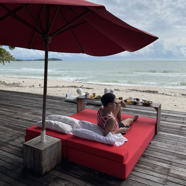 the library samui