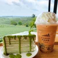 ไร่ชาฉุยฟง🍵