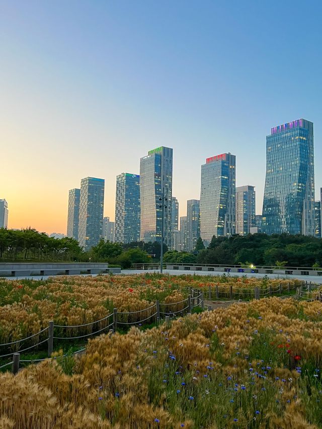 야경이 멋있는 송도 트리플스트리트🌃