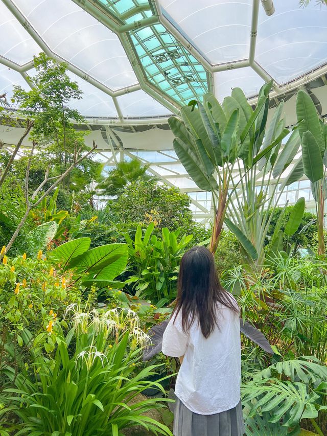 초록 힐링 가능한 부천호수식물원🌿