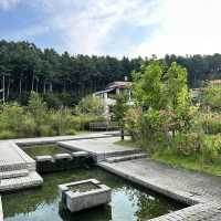 이천의 보물 푸른 에덴파라다이스🌲