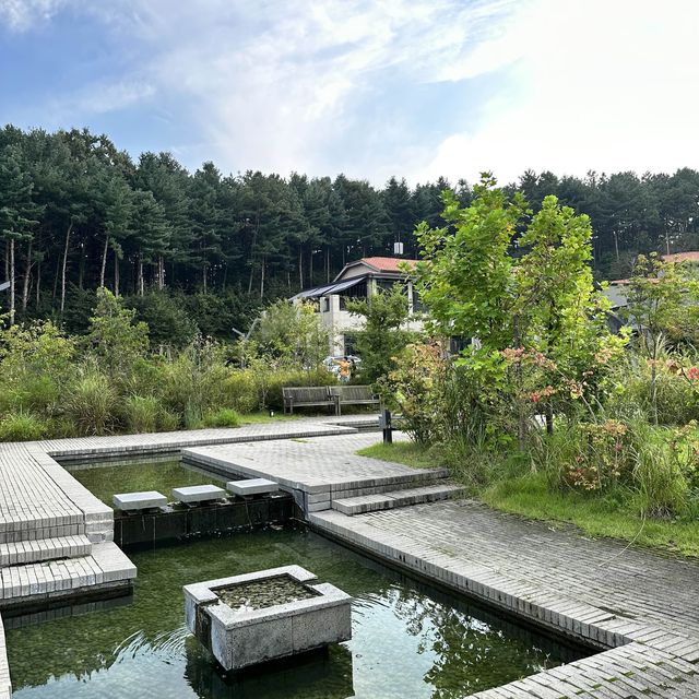 이천의 보물 푸른 에덴파라다이스🌲