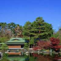 🍁 일본 중세시대의 아름다움과 단풍으로 물들여진 교토 센토고쇼에서 가을놀이해보세요!