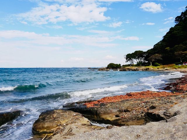 Kannonzaki Park in Yokosuka