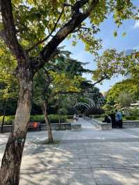 秋天必去的好去處，九龍公園！🍂🍁