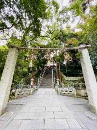 【大阪府/枚岡神社】境内に鹿がいる「元春日」