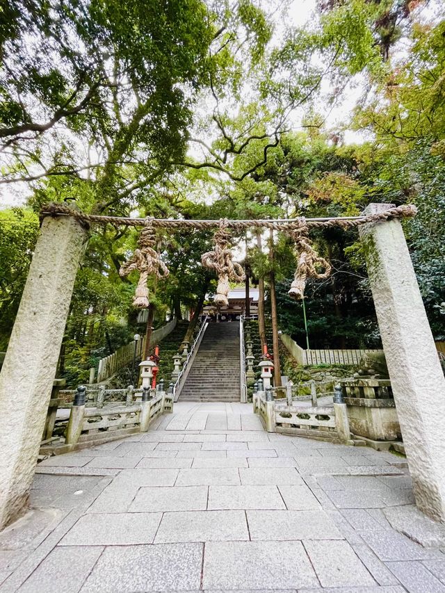 【大阪府/枚岡神社】境内に鹿がいる「元春日」