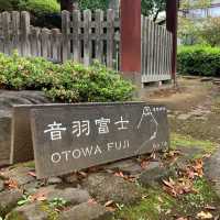 護国寺にある浅間神社の音羽富士