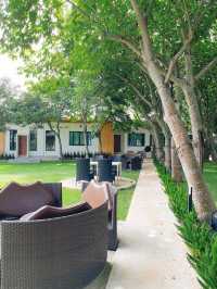 Campsite เขายายเที่ยง 🌴🌴🌴