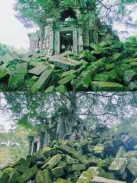 【絶景】まるでラピュタの世界！神秘的で美しいベンメリア遺跡🇰🇭