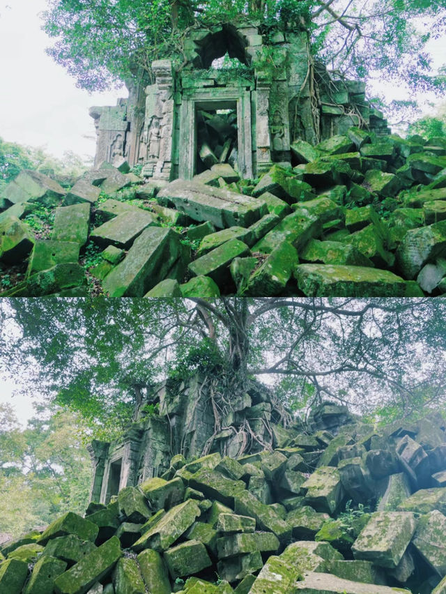 【絶景】まるでラピュタの世界！神秘的で美しいベンメリア遺跡🇰🇭