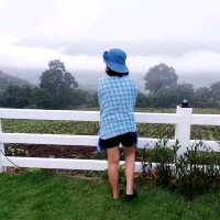 camping ชมวิวหน้าหนาว เมืองกาญจน์
