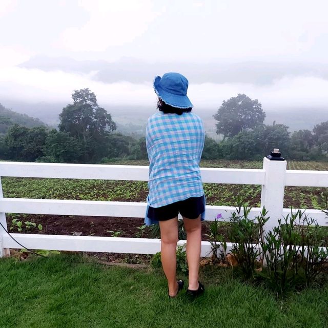 camping ชมวิวหน้าหนาว เมืองกาญจน์