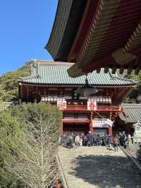 【神奈川県/鶴岡八幡宮】関東有数の初詣スポット