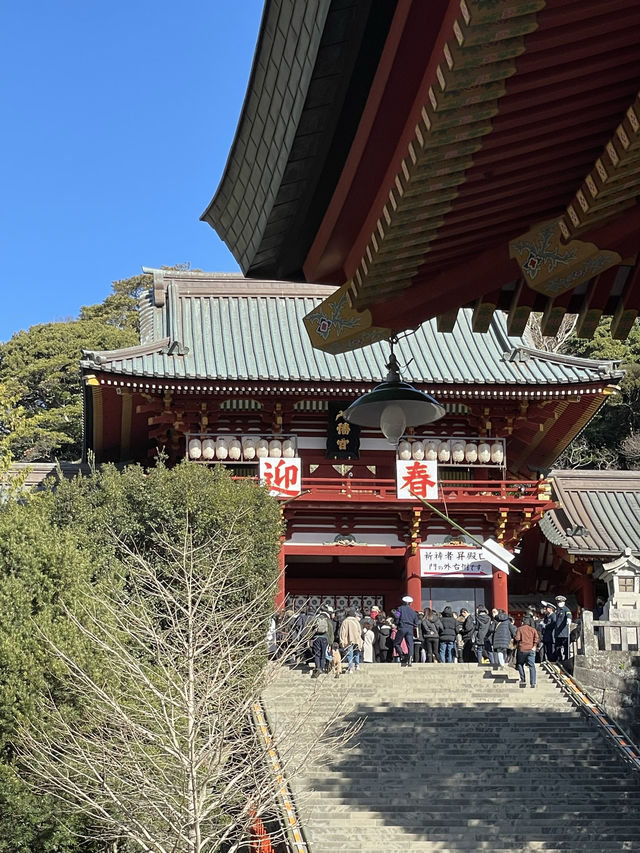【神奈川県/鶴岡八幡宮】関東有数の初詣スポット