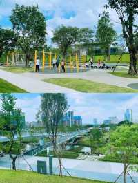 2024年再訪東莞中心公園，享受平靜與歡樂🌸💚