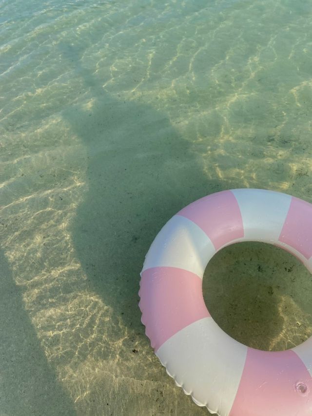 제주 동쪽 에메랄드빛 새화해변🏖