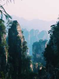 The Avatar Mountains - Zhangjiajie🌲🏔️