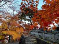 Eigen Temple.(Autumn maple leaves temple.)