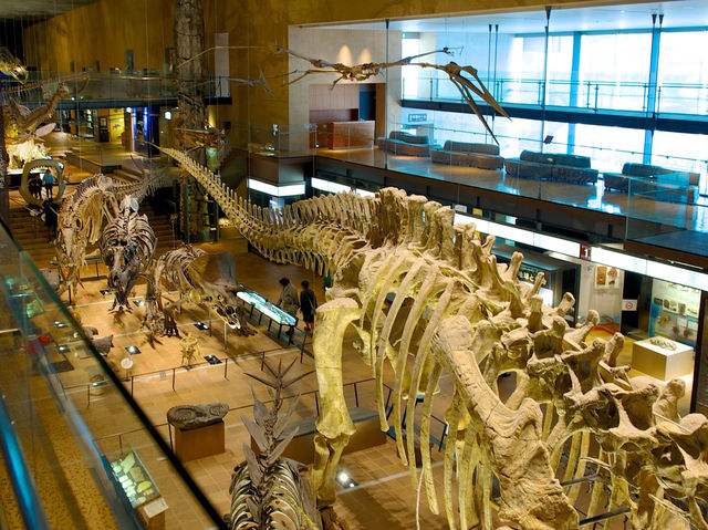 Museum of Natural and Human History