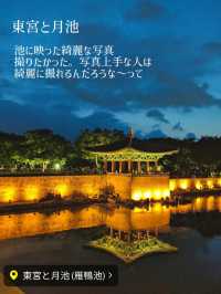 韓国【釜山・慶州】夜のライトアップがお勧め！ 「東宮と月池、瞻星台、月精橋」