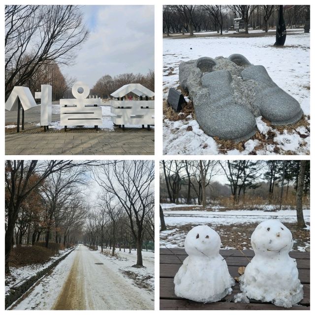 冬日下嘅首爾最大自然公園「首爾林」