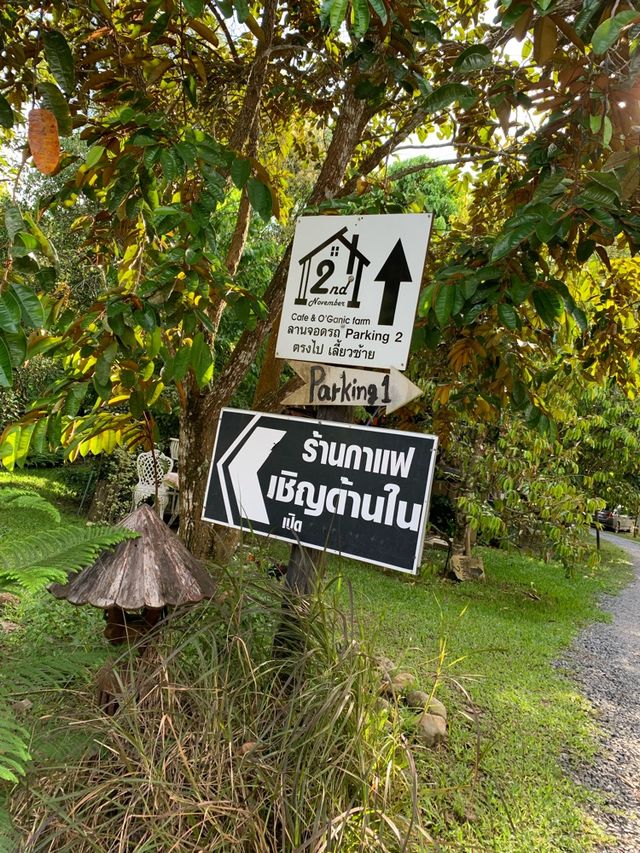 2nd November Cafe | คาเฟ่ลับเขาหล่น นครนายก