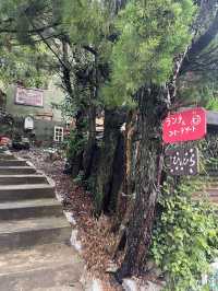太宰府天満宮近くにあるまったりできるカフェ