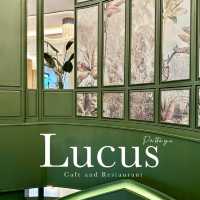 Lucus 🌿 คาเฟ่ และร้านอาหาร พัทยา