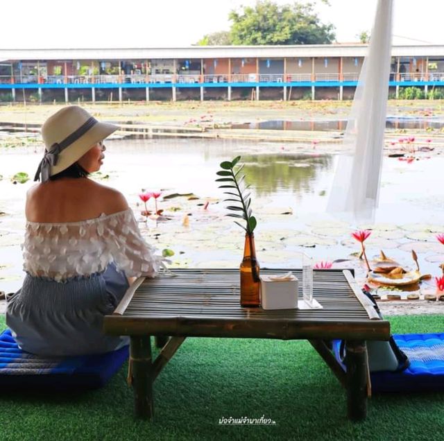 นั่งเรือชม ทุ่งบัวแดง ณ บางเลน นครปฐม