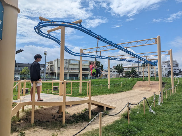 Full playground with giant slide, zip line
