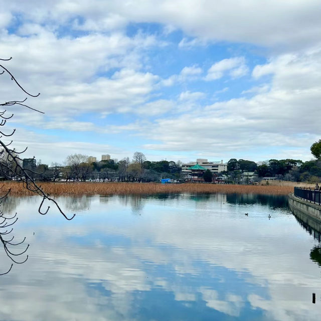 廣渡口漢江公園賞櫻🌸美好時光