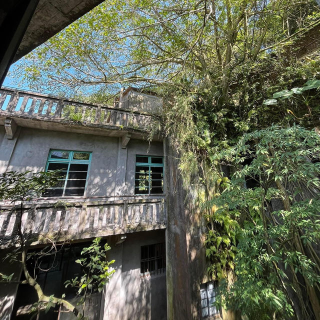 復古控必來的獨特體驗之旅-無礦mineless 🌿