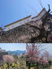 【高知公園】寧靜優美，適合放鬆身心的好去處