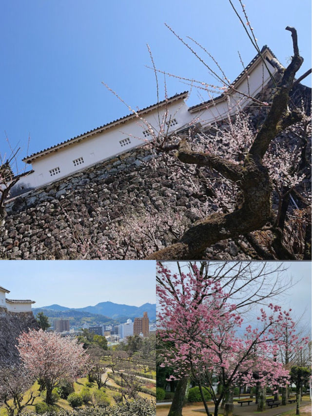 【高知公園】寧靜優美，適合放鬆身心的好去處