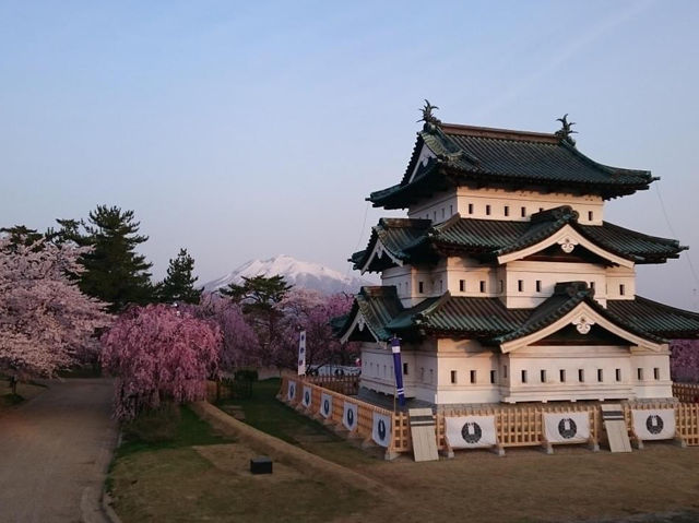 弘前公園2024年櫻花祭，青森必遊景點