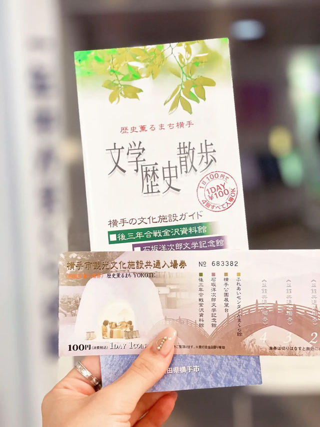 【秋田】真夏にかまくら体験！？マイナス10度の世界へ⛄️❄️