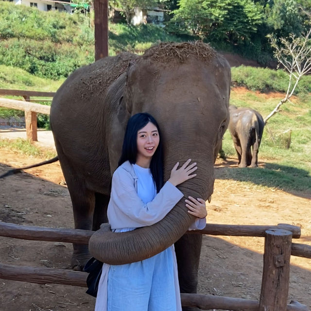 清邁·最值得一去的小眾景點🐘大象咖啡廳🐘