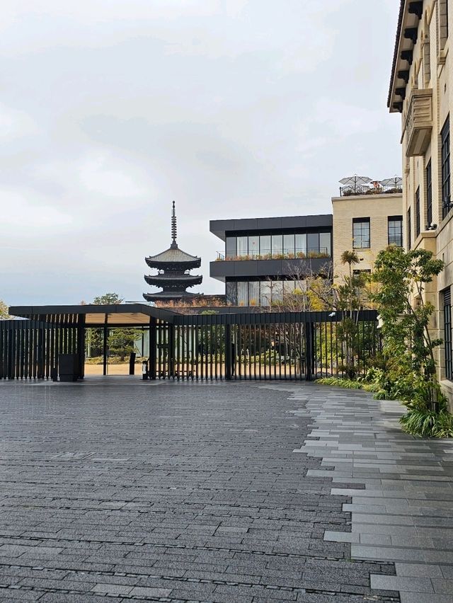 【京都/過去に繋がる特別なホテル】ホテルのあちこちで八坂の搭が見えるラグジュアリーホテル✨️🫖