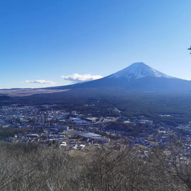 【河口湖天上山公園】春天遊玩，感受大自然魅力