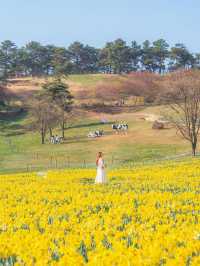 🌼 지리산치즈랜드 🌼