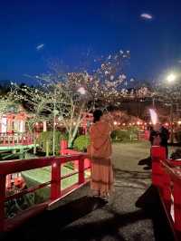 【千葉】今週末が見頃!!桜の名所100選の穴場お花見スポット