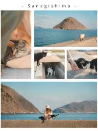 【保存版】にゃんこで溢れる瀬戸内の猫島5選！